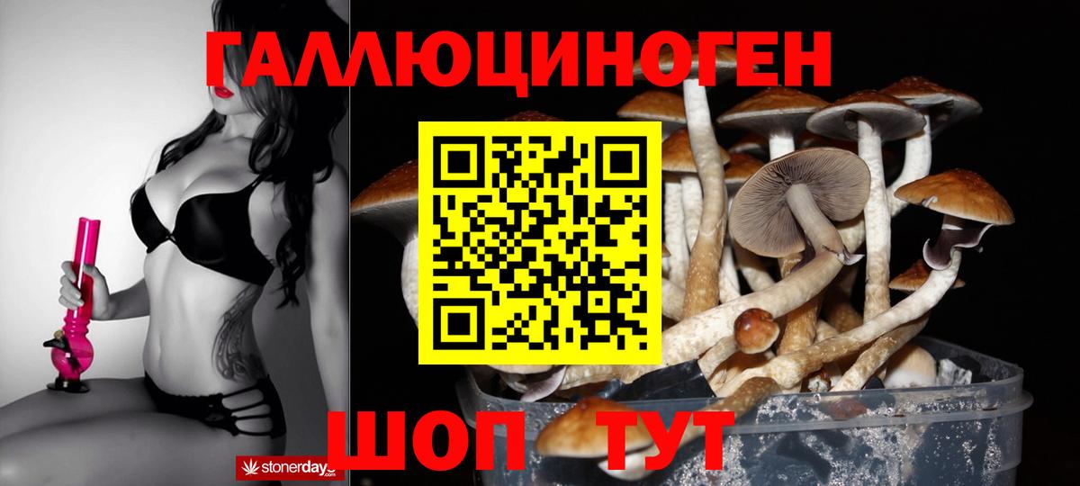 Псилоцибиновые грибы мухоморы Муравленко